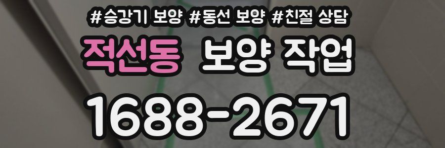 적선동 보양 작업