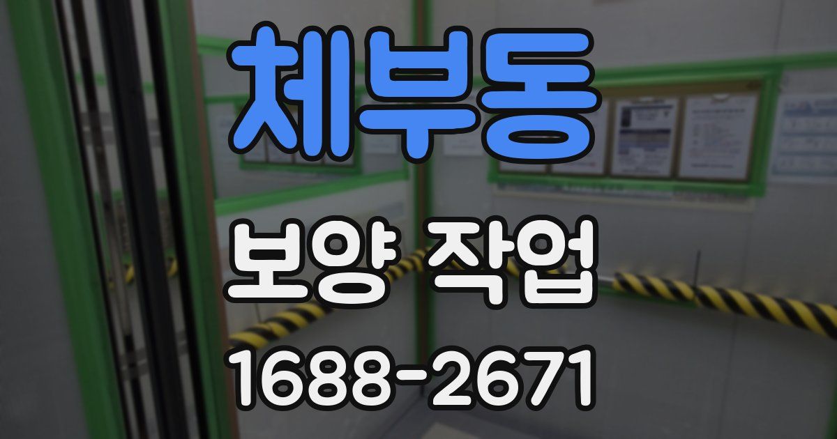 체부동 보양 작업