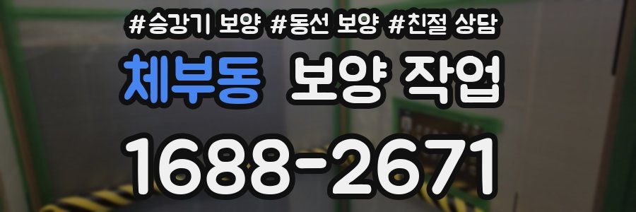 체부동 보양 작업