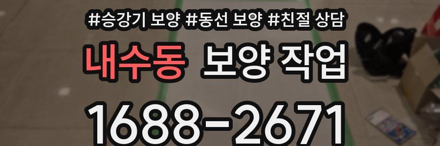 내수동 보양 작업
