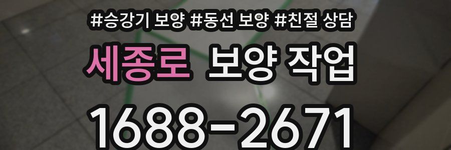 세종로 보양 작업