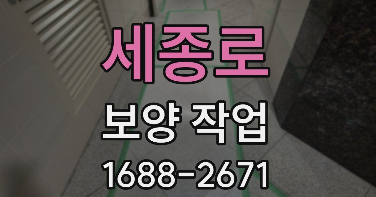 세종로 보양 작업