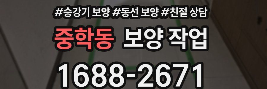 중학동 보양 작업