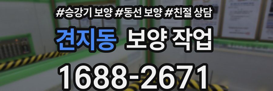 견지동 보양 작업