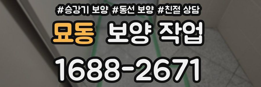 묘동 보양 작업