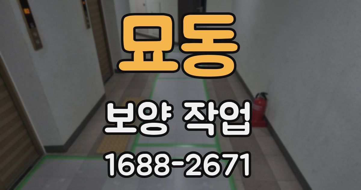 묘동 보양 작업