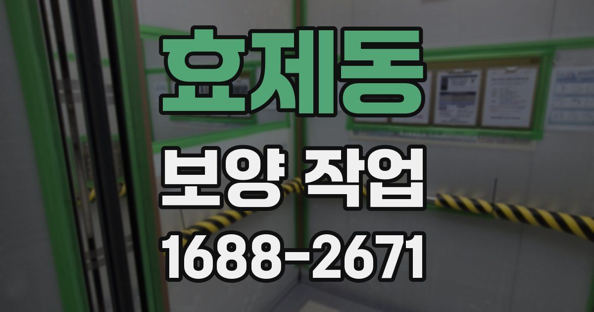 효제동 보양 작업