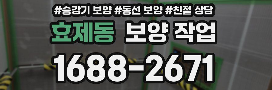 효제동 보양 작업