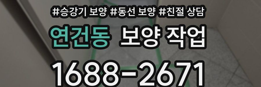 연건동 보양 작업