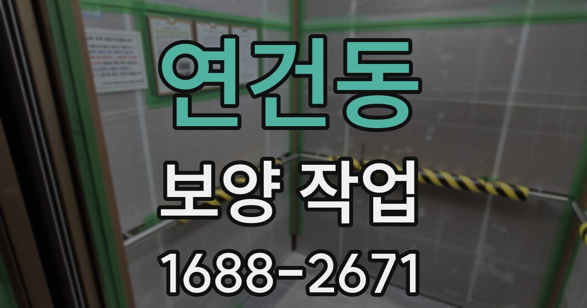 연건동 보양 작업