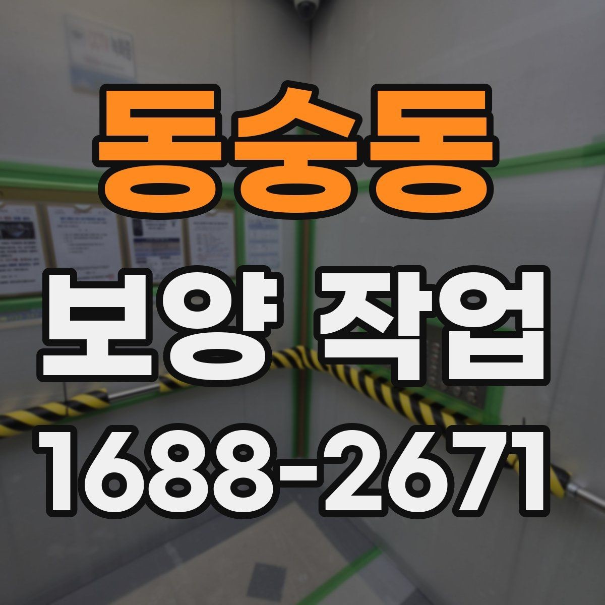 동숭동 보양 작업 비교 시 자재와 방식의 차이