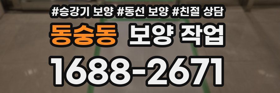 동숭동 보양 작업