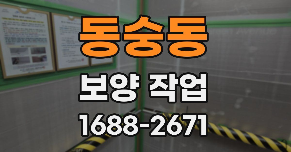 동숭동 보양 작업