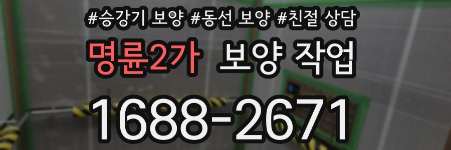 명륜2가 보양 작업