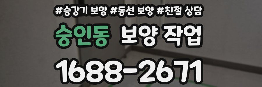 숭인동 보양 작업