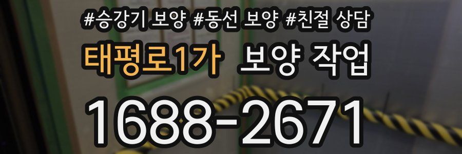 태평로1가 보양 작업