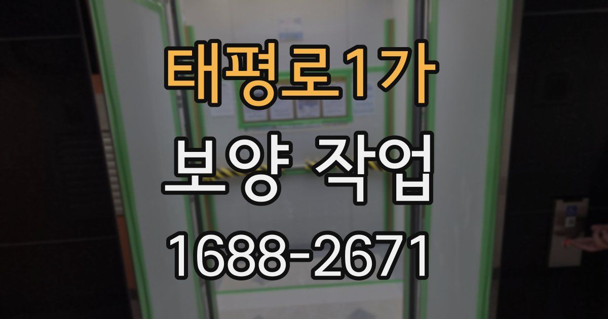 태평로1가 보양 작업