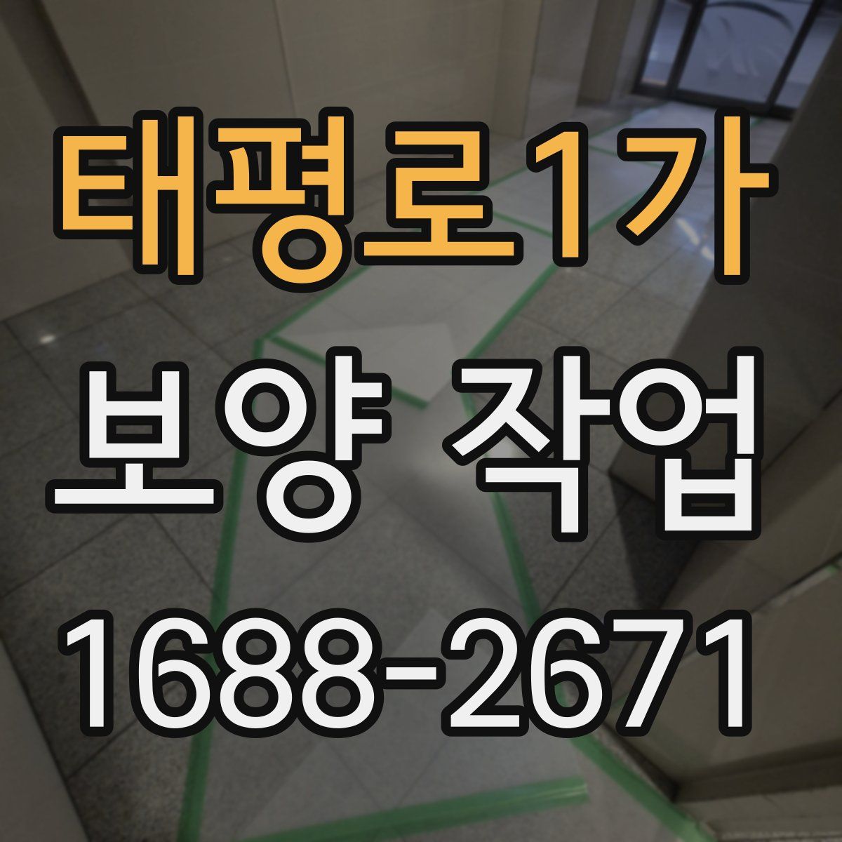 태평로1가 보양 작업