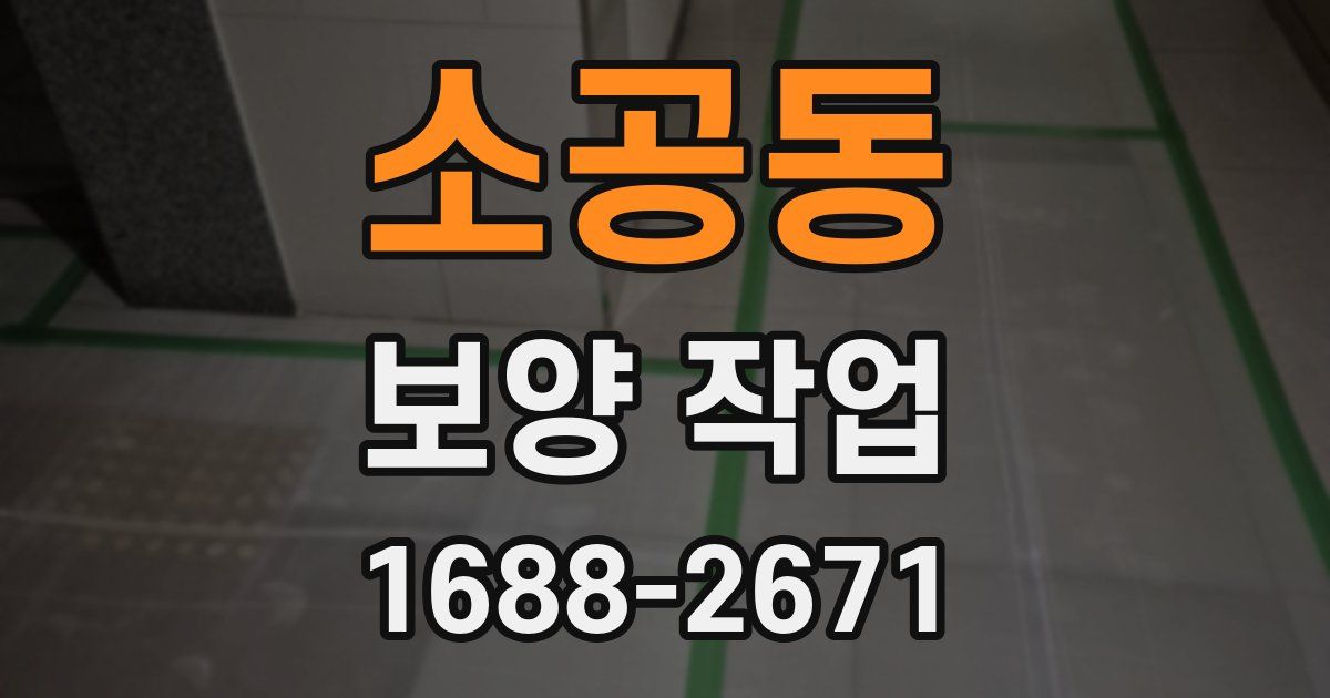소공동 보양 작업