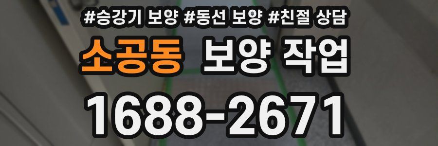 소공동 보양 작업