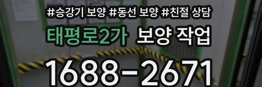 태평로2가 보양 작업