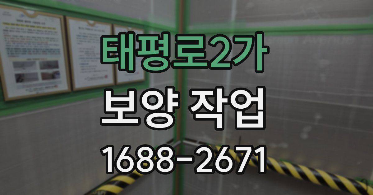 태평로2가 보양 작업