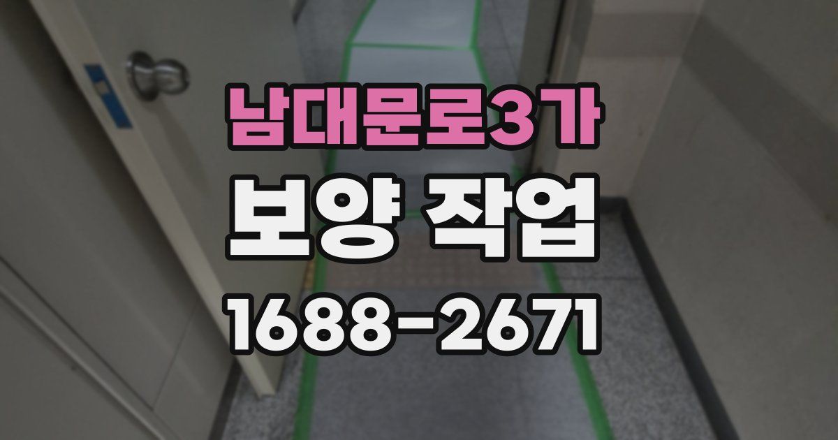 남대문로3가 보양 작업