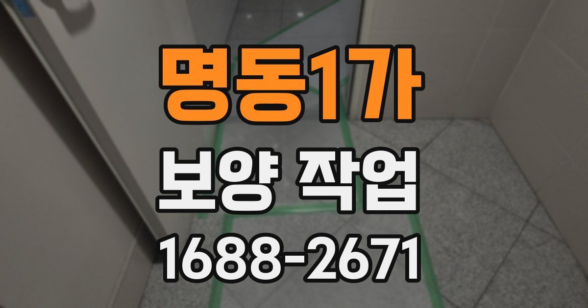 명동1가 보양 작업