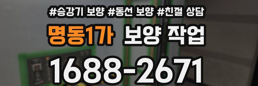 명동1가 보양 작업