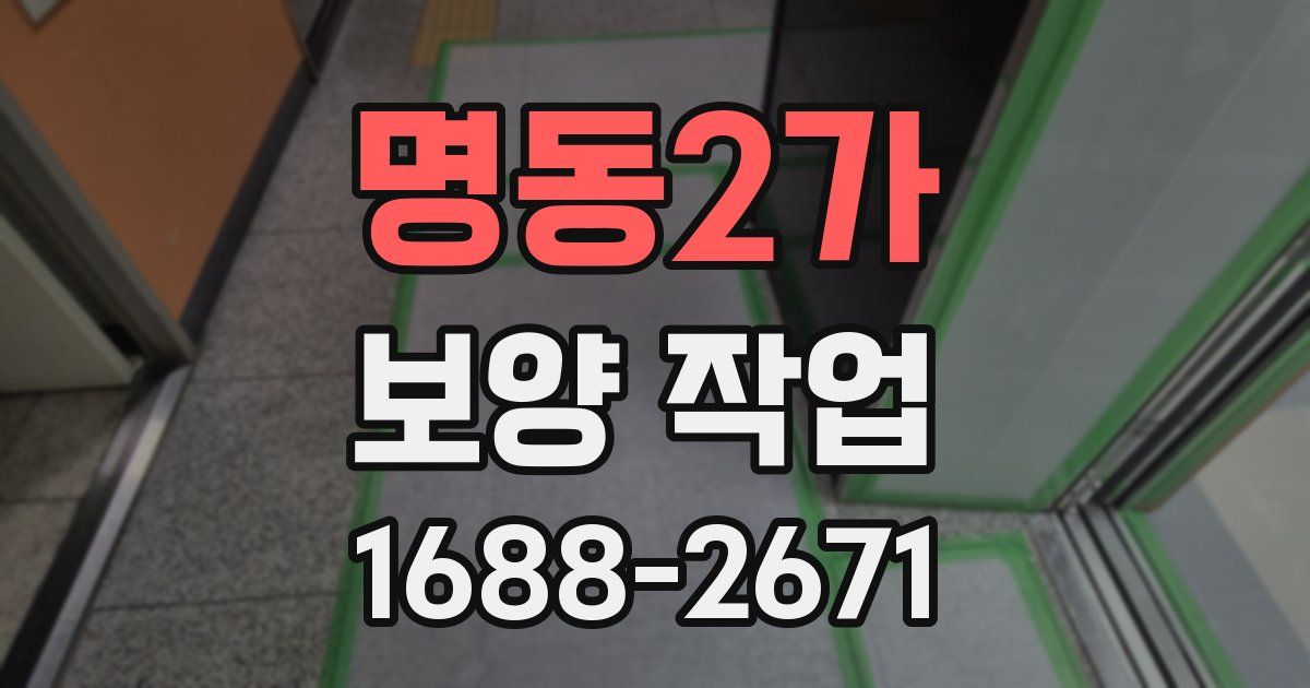 명동2가 보양 작업