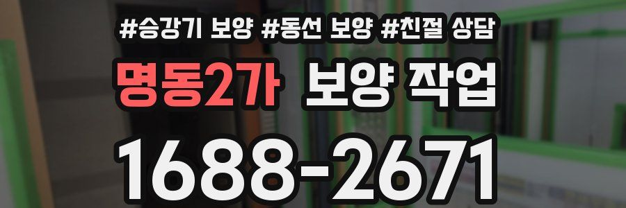 명동2가 보양 작업
