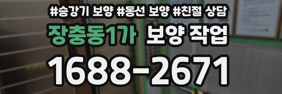 장충동1가 보양 작업