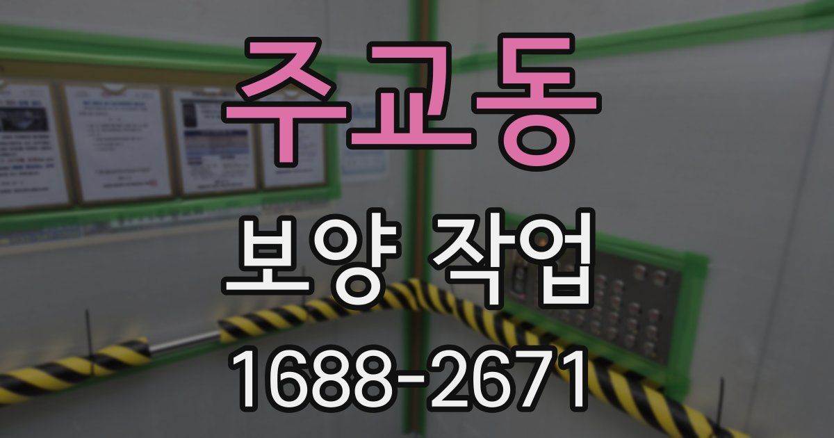 주교동 보양 작업
