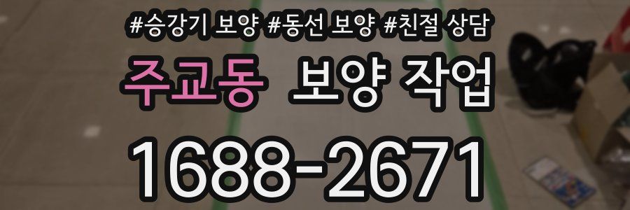 주교동 보양 작업