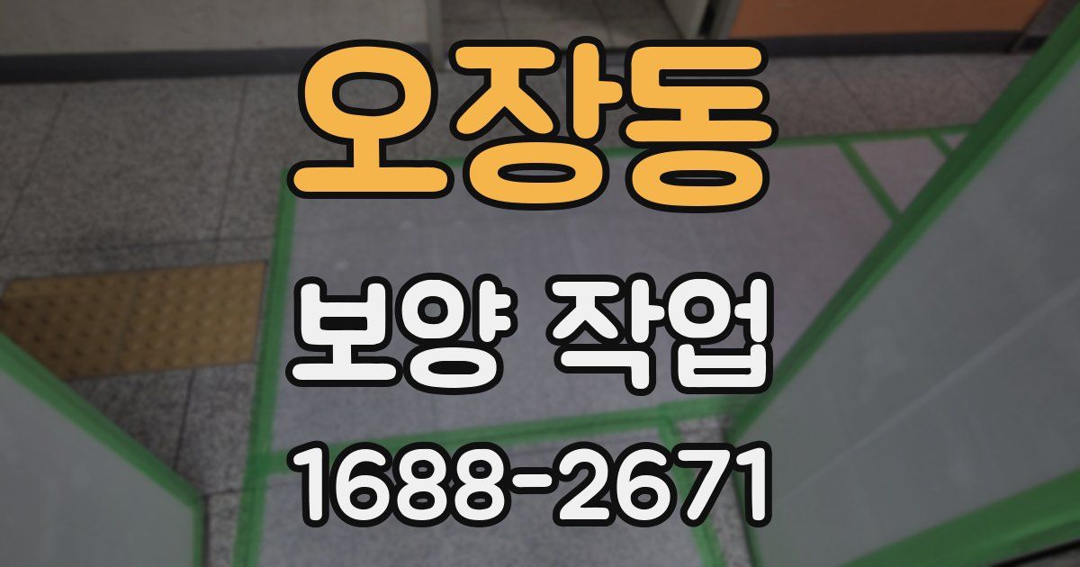 오장동 보양 작업
