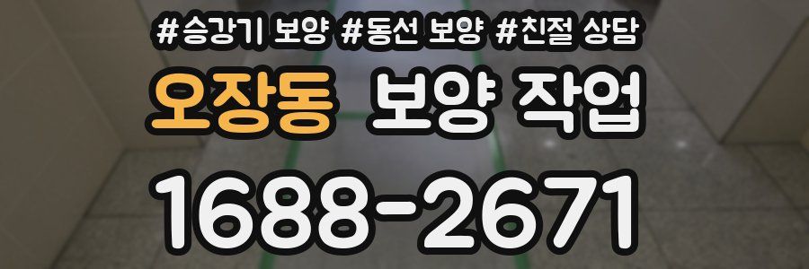 오장동 보양 작업