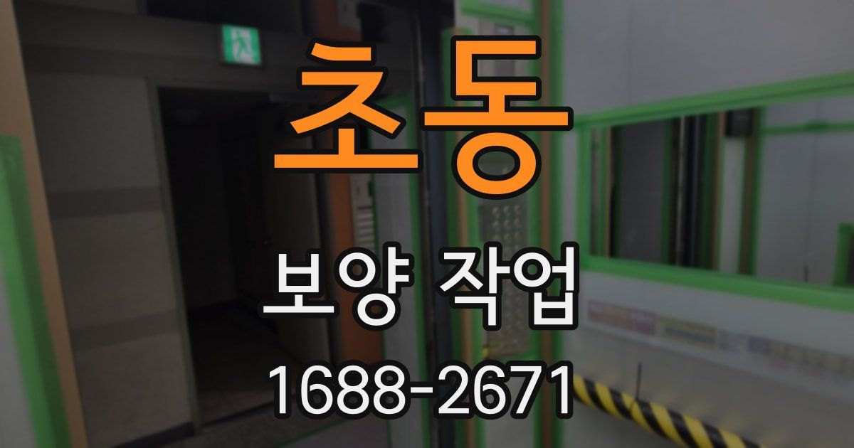 초동 보양 작업