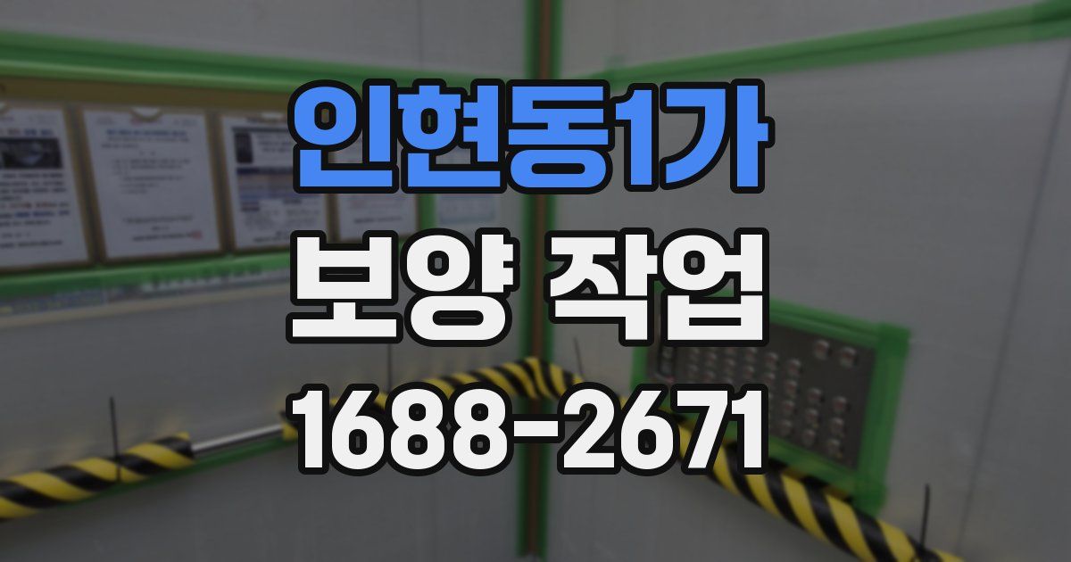 인현동1가 보양 작업