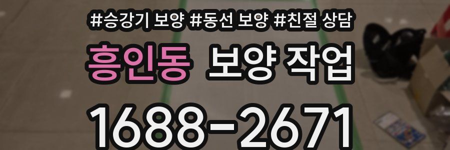 흥인동 보양 작업