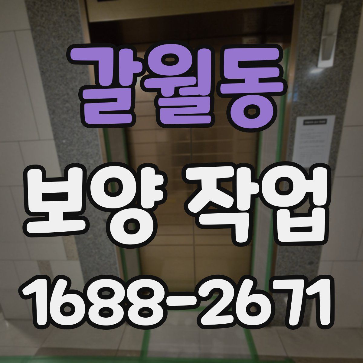 갈월동 보양 작업