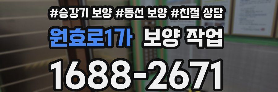 원효로1가 보양 작업