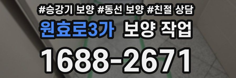 원효로3가 보양 작업