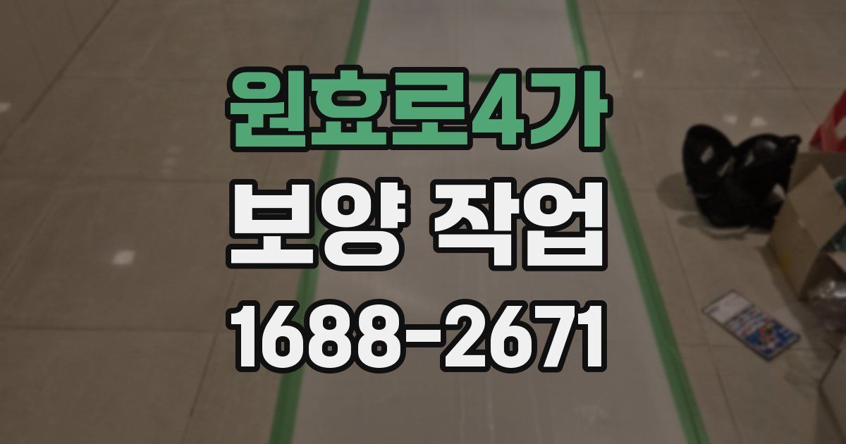 원효로4가 보양 작업