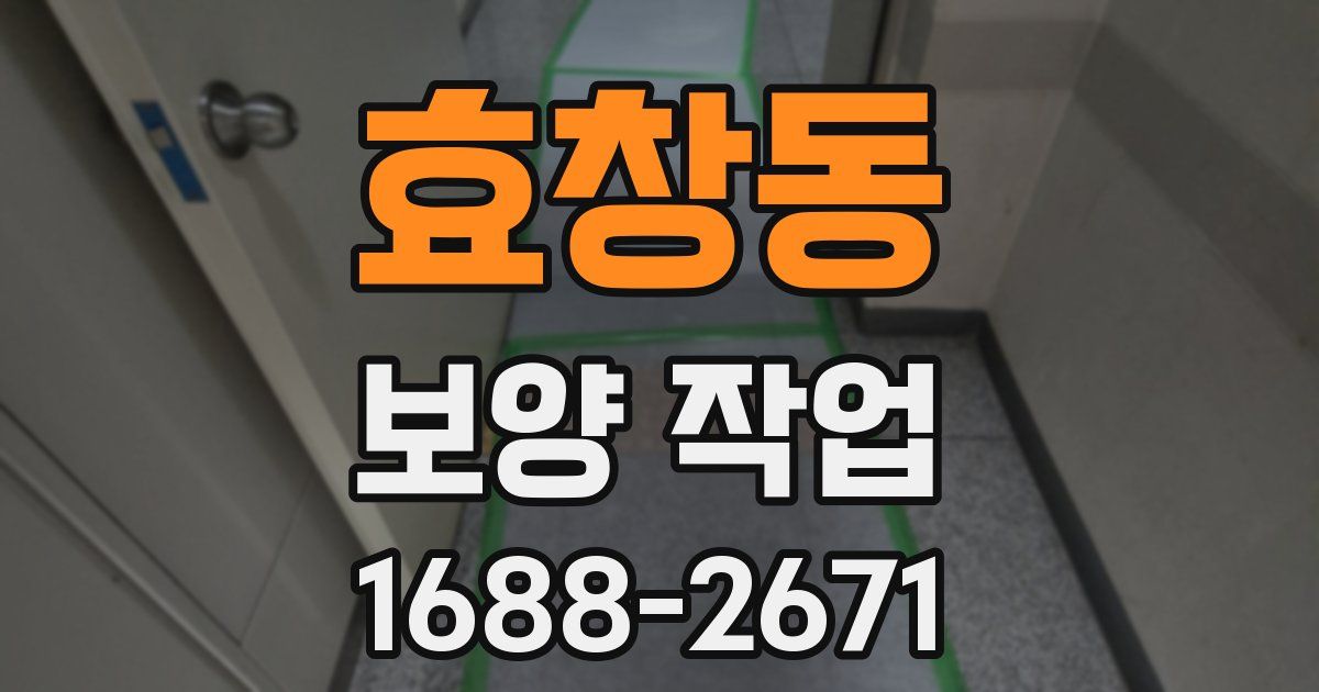 효창동 보양 작업