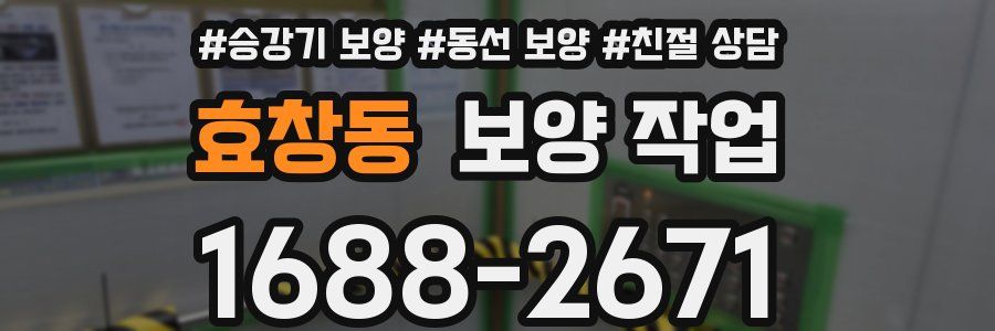 효창동 보양 작업