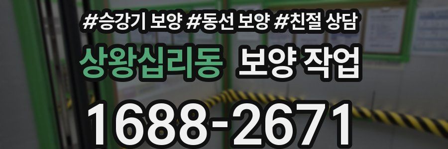 상왕십리동 보양 작업