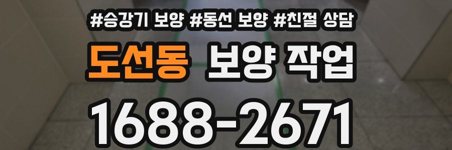 도선동 보양 작업
