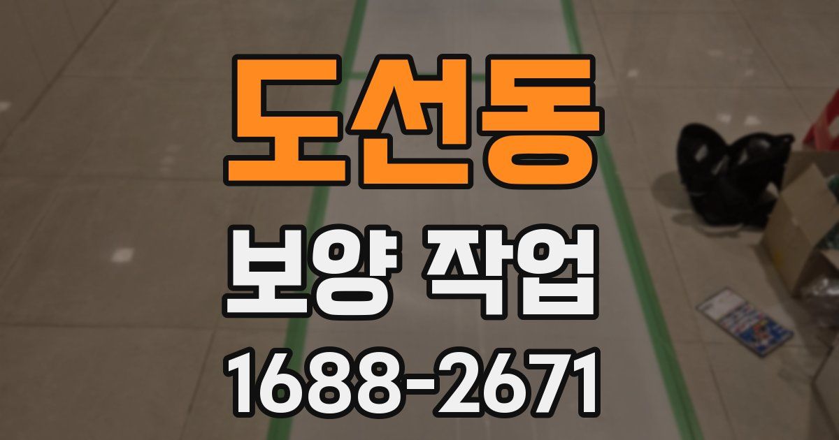 도선동 보양 작업