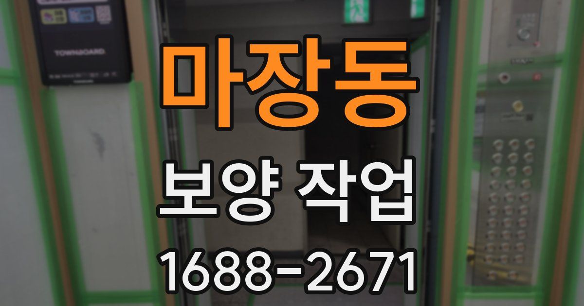 마장동 보양 작업
