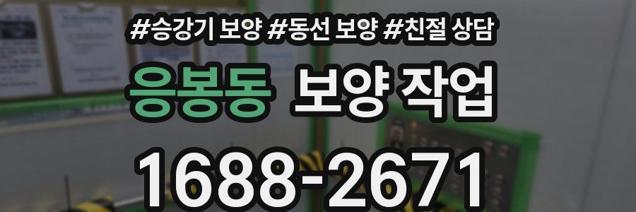 응봉동 보양 작업